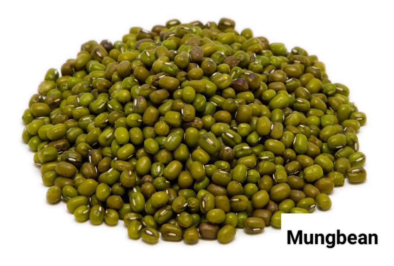 Seed